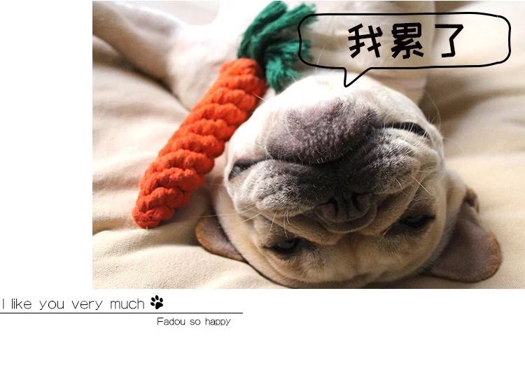 Pet đồ chơi cà rốt cắn bông dây thừng răng hàm làm sạch con chó mèo đào tạo tương tác đào tạo vật nuôi dệt đồ chơi chó