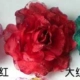 Phiên bản Hàn Quốc của hoa siêu lớn sợi lụa cài đầu hoa lụa hoa phụ kiện cài tóc hoa cài đầu cô dâu trâm cài áo đường kính 15cm - Phụ kiện tóc