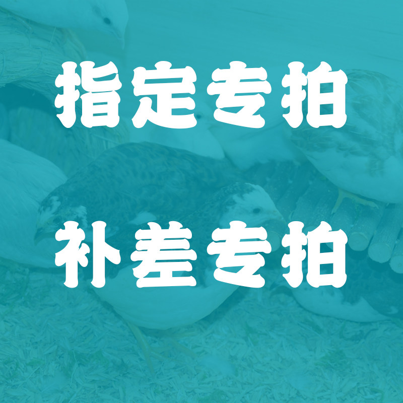 Adorable pet series postage difference special shot Xiong Xiaonao