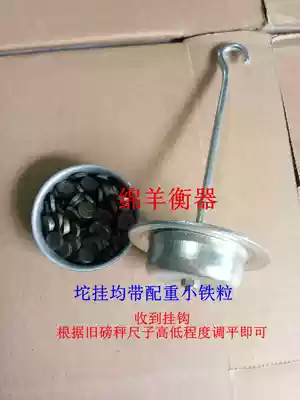 Scale flower basket 100kg accessories scale hanging basket mechanical platform scale hook increase weight disc with counterweight iron particles