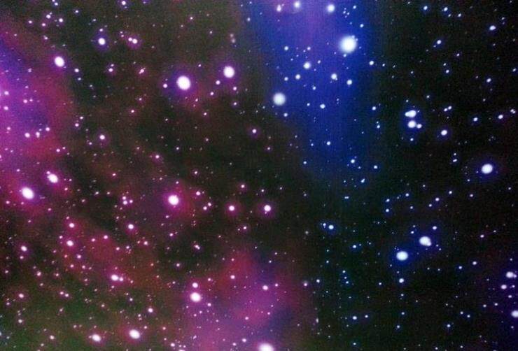 Déco pour vélo - Ref 2283049 Image 5