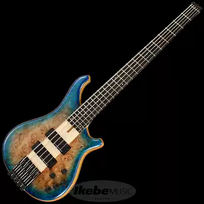 Japanese direct mail TUNE Zi III-5 Headless Burl Poplar Headless 5-string electric bass