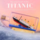 Small Particle Titanic Building Blocks, Ship in a Bottle Series, One Piece Thousand Sunny, Black Pearl Assembly Model