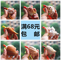 Natural Conch Shell Crafts Whistle Snail Stalls Source Island Gift Souvenir Toys