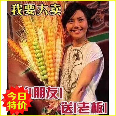 Simulation wheat ears dried flower bouquet opening gift barley living room bedroom decoration immortal flower props RJ1fdHBjxt