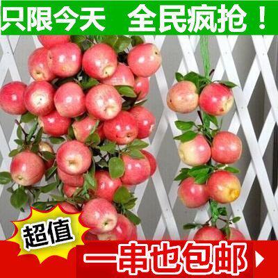 Simulation vegetables and fruits bunches grapes fake corn rattan fake pepper pendant restaurant kindergarten Christmas decorations