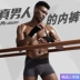 Mùa thu hươu Modal đồ lót nam boxer tóm tắt mùa hè mỏng phần quần lót thoáng khí đầu thanh niên boxer - Tam giác