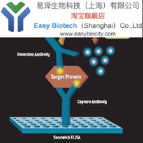 ELISA酶联免疫吸附法检测蛋白因子含量 方案设计/生物实验代做
