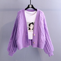 Lazy Wind Knit Sweater Cardiovert Hooded Jacket Woman 2021 Autumn Winter New Korean version Loose Twist Flowers Short Outfitting Blouse