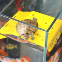 Turtle basking platform Climbing platform Turtle basking platform Floating platform Floating island climbing Land and water tank Fish tank landscaping Basking back calcium climbing