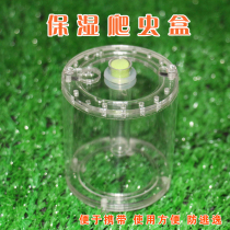 Moisturizing climbing pet box mantis acrylic feeding box mantis feeding box Small beetle reptile supplies Pet box feeding
