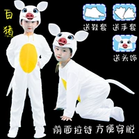 Новая белая свинья длинная