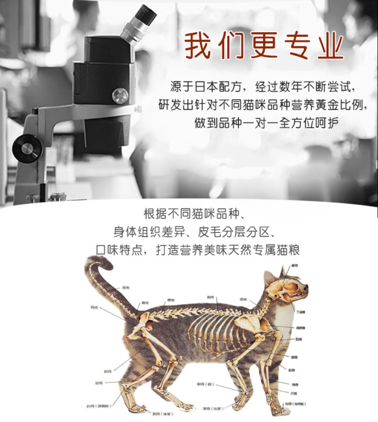 Mèo không lông đặc biệt là thức ăn cho mèo vật nuôi mèo thời thơ ấu mèo 1,5kg thức ăn chủ yếu tự nhiên Canada Sphinx đồ ăn vặt cho mèo