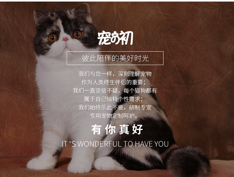 【宠之初】加菲猫专用猫粮鱼籽成幼3斤