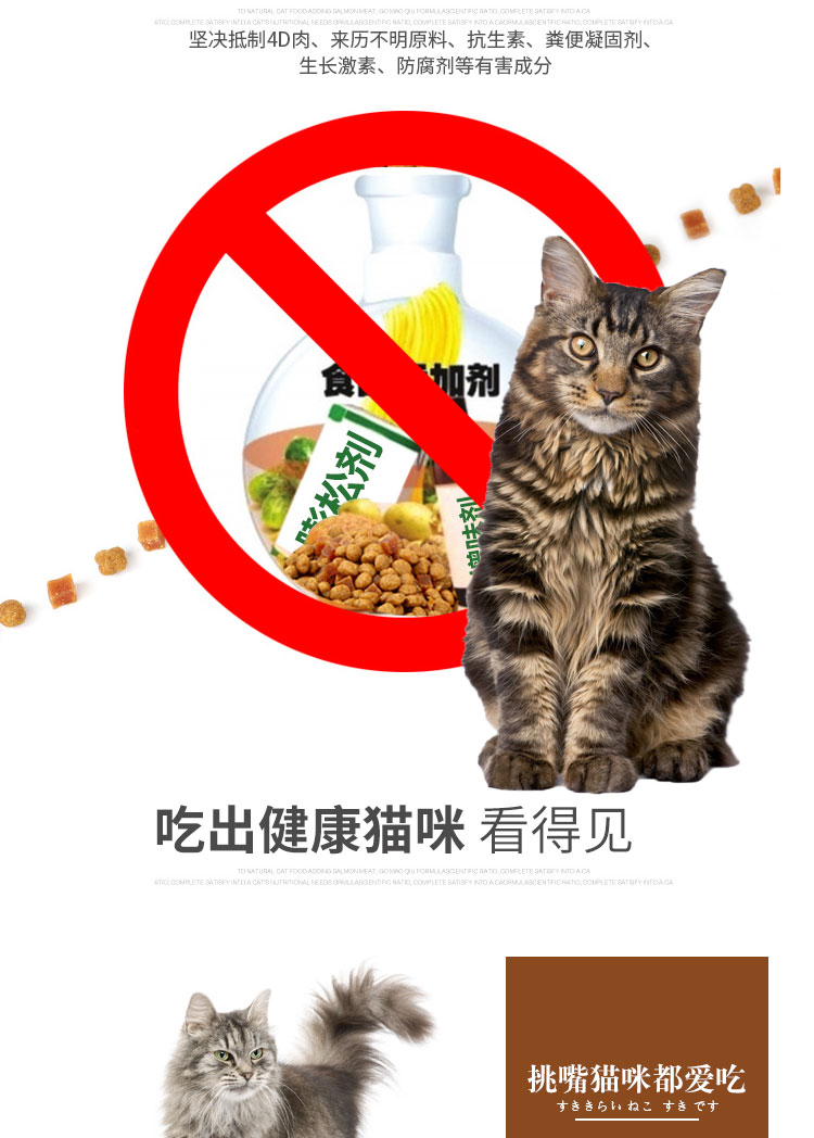 Mèo Maine đặc biệt thức ăn cho mèo vật nuôi mèo sớm vào mèo nhỏ 1,5kg thức ăn chủ yếu tự nhiên đẹp bóng lông bờm sáng nên cho mèo ăn cơm hay ăn hạt