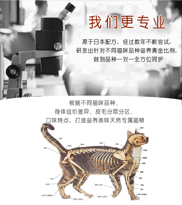 【宠之初】加菲猫专用猫粮鱼籽成幼3斤