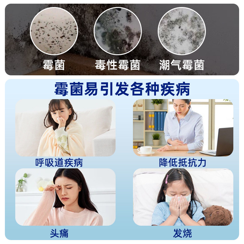 Nylon Bag Mold Remover, Children's School Bag Backpack Mold Stain Remover, Mold Cleaner, Canvas Bag Mold Spot Cleaner