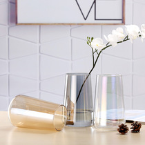 Nordic ins light extravagant colorful transparent glass vase pendulum pieces living-room dry flower flower arrangement water bacon rose lily decoration