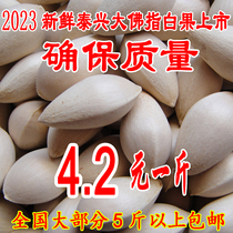 Fresh Taixing Super Big Buddha Finger Raw Ginkgo Ginkgo Fruit (Guaranteed Quality ●Recipe Included) 5kg