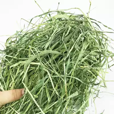 Sun-dried Timothy grass hay Country Tibeti Chinchilla rabbit Dutch pig Food feed forage staple food 500g