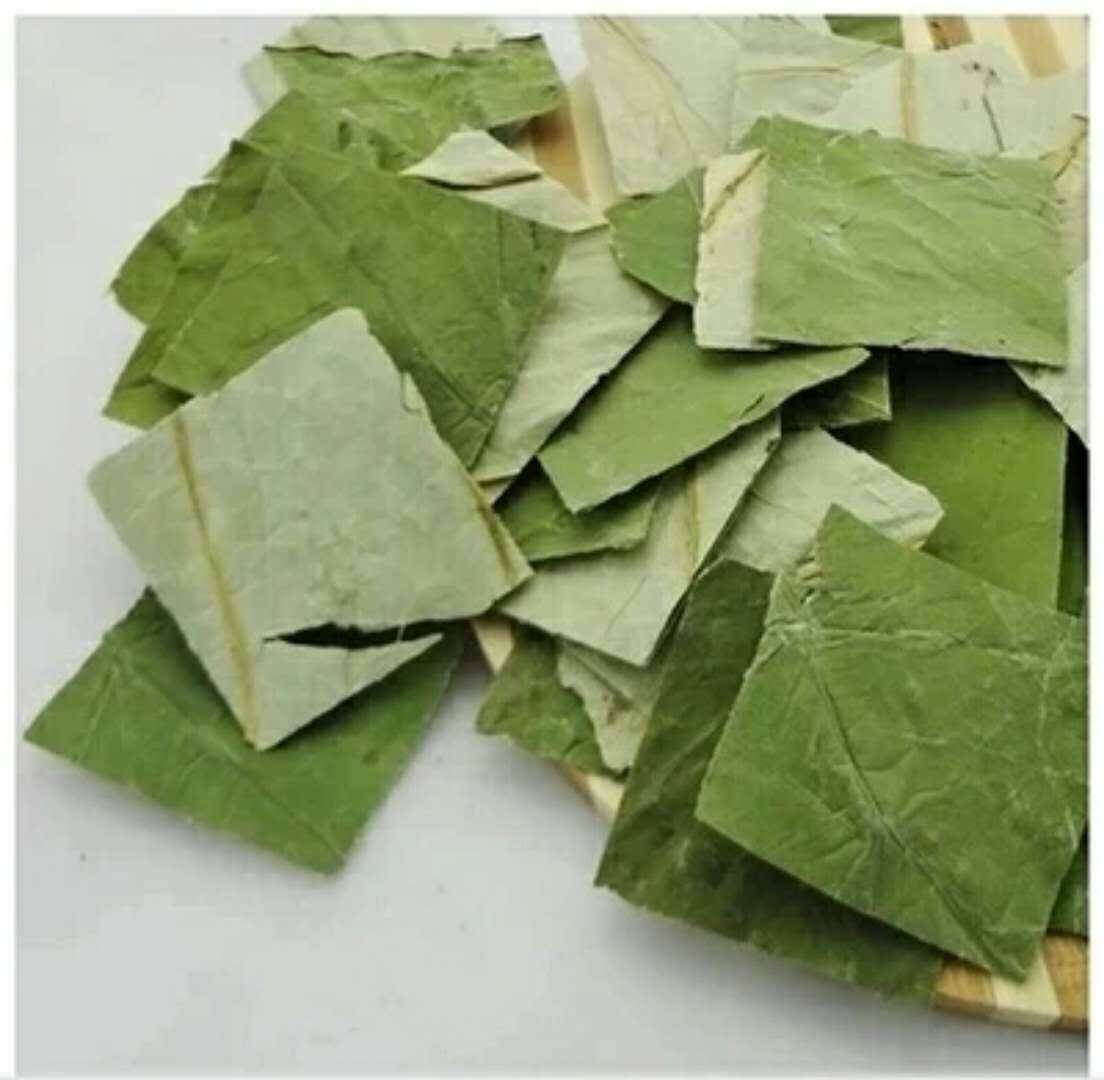 (Qiqi Chinchilla) Dry lotus leaf Chinchilla loves to eat, clears heat, relieves summer heat, eliminates edema, relieves constipation 50g 5 yuan
