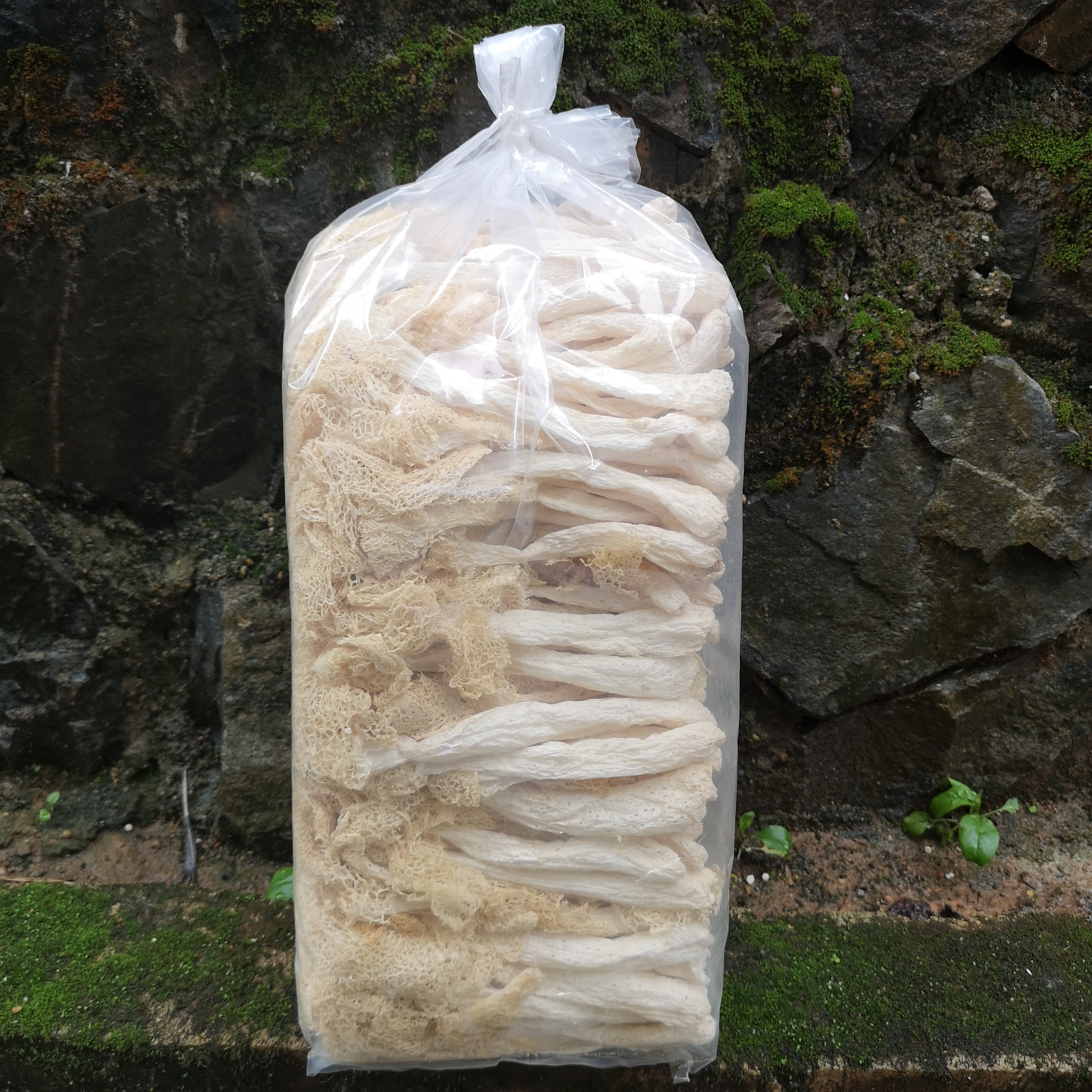 When the season bamboo dry goods 500g bamboo disk sulfur non - wild fresh skirt bamboo fungus farmers specialized in the production