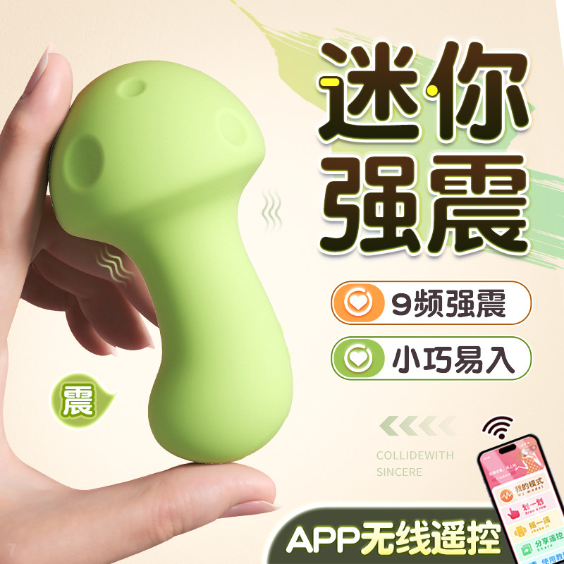 Remote Control Vibrating Egg