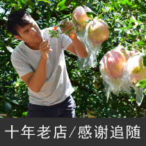 Listed in September Yunnan Mengzi thin skin juicy hard seed green seed sweet pomegranate fresh fruit 7-9 two large fruits 12 kg