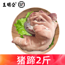 (Minggong Agriculture) Fresh Trotters Farmers Free-range Pork Feet Pigs Foot 1000g Cut Small Pig Hands