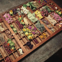 Eternal flower Dried flower specimen plant set Aromatherapy plaster candle decorative painting flower material