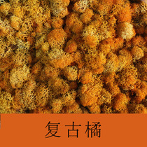 Birthday gift diy eternal flower moss ornament glass lamp decorative accessories 10g