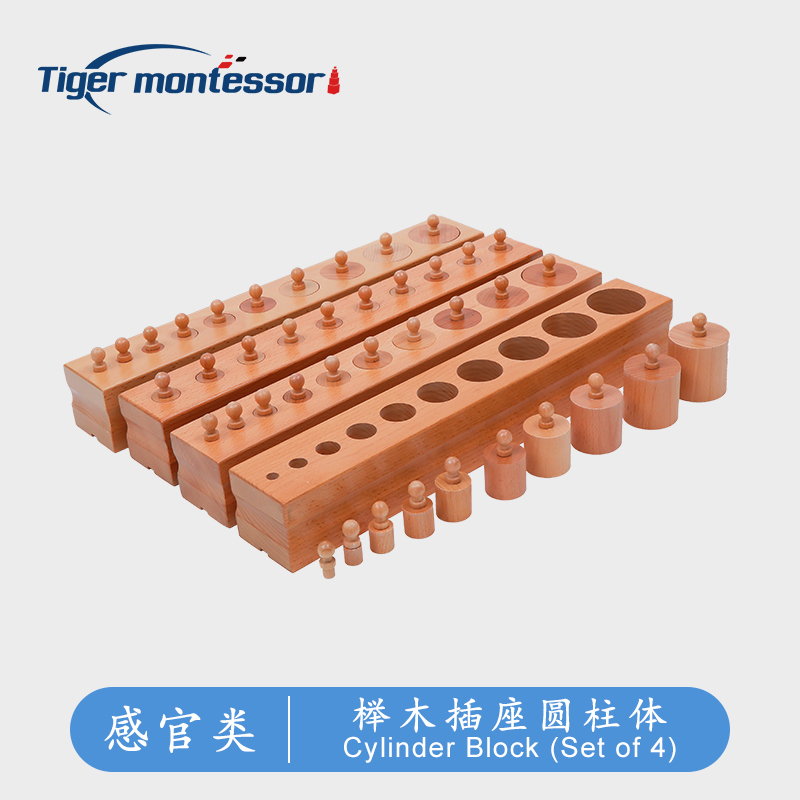 Tiger Everyday Monteal Kindergarten Middle Class Sensory Teaching Aids Family Parent-child Early Education Beech Wood With Socket Cylinder