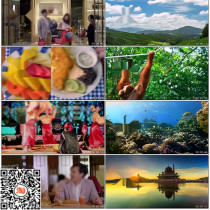 Malaysia holiday tourism Malaysia customs beautiful video material natural scenery city promotion