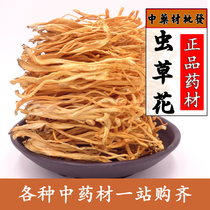 Cordyceps Flower Special northern cordyceps flower farmer natural fungal spore head pupa cordyceps dry goods 500g