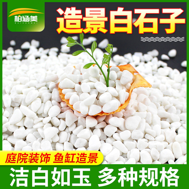 造景石园艺养花用多肉铺面颗粒鱼缸酒店宾馆灭烟灰家庭装饰白石子