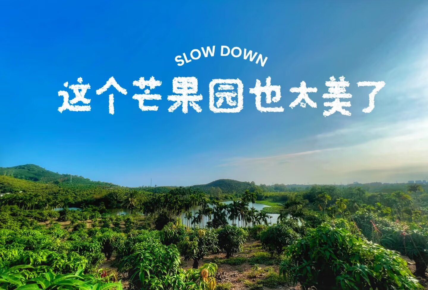 海南果园基地直销的LOGO