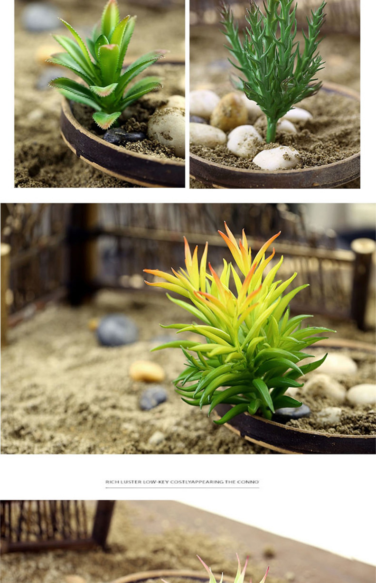 Mô phỏng thịt giả mọng nước trong chậu kết hợp vi cảnh đặt mini cây xanh trang trí nhỏ thực vật hoa nhân tạo Bắc Âu - Hoa nhân tạo / Cây / Trái cây giả hạc hoa hồng đỏ