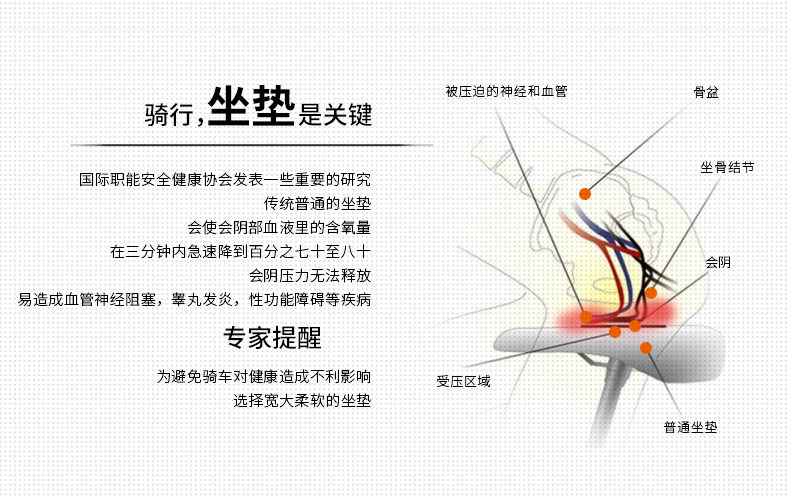 Selle de vélo cyclisme sur route - Ref 2344537 Image 21