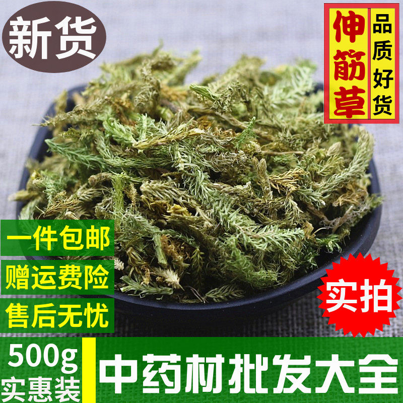 Wild extensant Chinese herbal medicine 500g bulk Ajuga should be matched with Zhiyuan Yizhiren tea wine feet