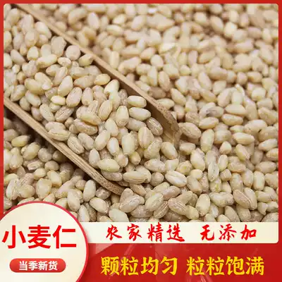 New Shandong wheat kernels 500g Wheat kernels, peeling wheat, peeled wheat, rice, whole grains, porridge