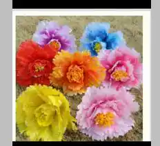 Peony props holding Flower Dance props Flower umbrella kindergarten sports meeting entrance props square dance flower