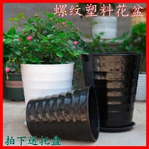 Happiness Tree Living Room Large Flower Pot Thickening special Large-size Loose Tail Sunflower Green and Rich Tree High Cylinder Round Ground Brief Snail