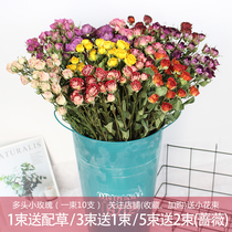 Multi-head small rose Rosaceae family flowers real flowers and flowers The small fresh art and art furnishing retro flower arrangement Diy drop glue floral material