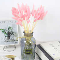 Rabbit Tailgrass Dried Flowers Dog Tail Grassland Raw Flowers nets Red Girl Hearts Little Fresher Home Decoration Furnishing