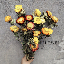 Daisy Dry Flower Fields Garden Yunnan Dry Flower Bouquet Home Flower Arrangement Flower Shooting props shop Furnishing Seven Colorful Chrysanthemum Stick Flowers