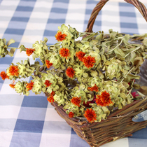 Pineapple Chamomile Flowers Silver Leaf Inulin Yunnan Natural Real Flowers Air Dry Home Folk Juku Decoration Flower Arrangement Orange Pineapple