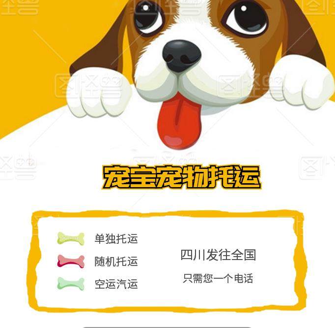 Air pet consignment service Cat Air dog Single random auto Express mail transport National international door-to-door