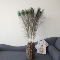 Natural real peacock feathers allegory auspicious rich and expensive accessories flower inserts vase art home decorations casual hem
