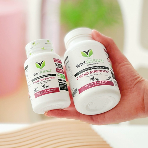 Коэнзим Q10 от American VetriScience Pet Master для пожилых собак, кошек и собак, страдающих ожирением, защищает сердце и сердечно-сосудистую систему.