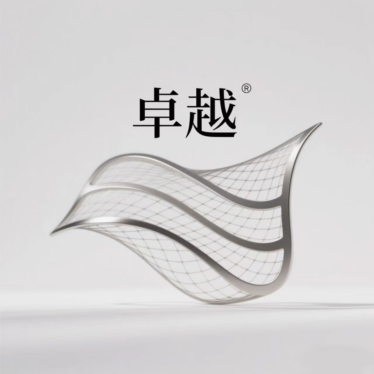 河北卓越丝网的LOGO